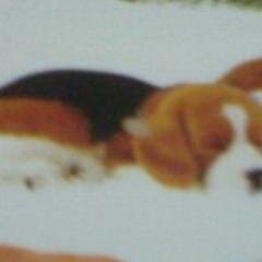 ParslP's profile picture. 