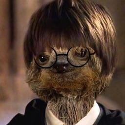 kevin14076267's profile picture. zit bij youtube