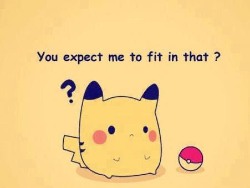 Pokemon Lover 3 | Food 3 | Gamer Boy ˚˚ | Homework  | YOLO |