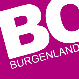 BOBurgenland vernetzt im Sinne einer optimalen Bildungs- und Berufsorientierung Jugendliche, Eltern, LehrerInnen und EntscheidungsträgerInnen aus der Wirtschaft