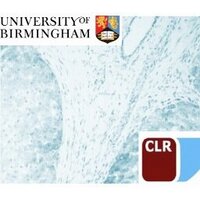 Liver Immunology (@birminghamliver) Twitter profile photo