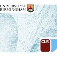 Liver Immunology(@BirminghamLiver) 's Twitter Profileg