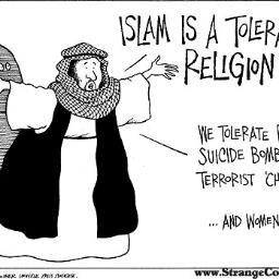 alibeu1's profile picture. kan niet zingen/rappen, ben irritant, politiek incorrect, slecht in nederlands, en ben links Den Haag beu