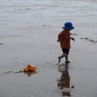 Diane Giasson (@dianegiasson) 's Twitter Profile Photo Diane Giasson (@dianegiasson) 's Twitter Profile Photo