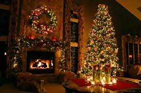 Only the finest Nordman Fir Christmas tree's. On sale from 2nd December 2013 from 47 Great Norwood St. #Cheltenham. Pre-order on 07748 042781 for 10% DISCOUNT!