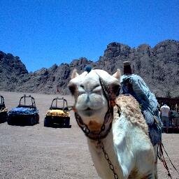 ScoopsVC's profile picture. Director at VC_London, work collaboratively with creative agencies to deliver useable consumer insight (Views are all mine).