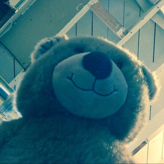 Gvideoz's profile picture. 