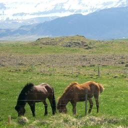 Retweeting about Icelandic volcanoes - enjoy!