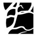Maybaum Film (@maybaumfilm) Twitter profile photo Maybaum Film (@maybaumfilm) Twitter profile photo