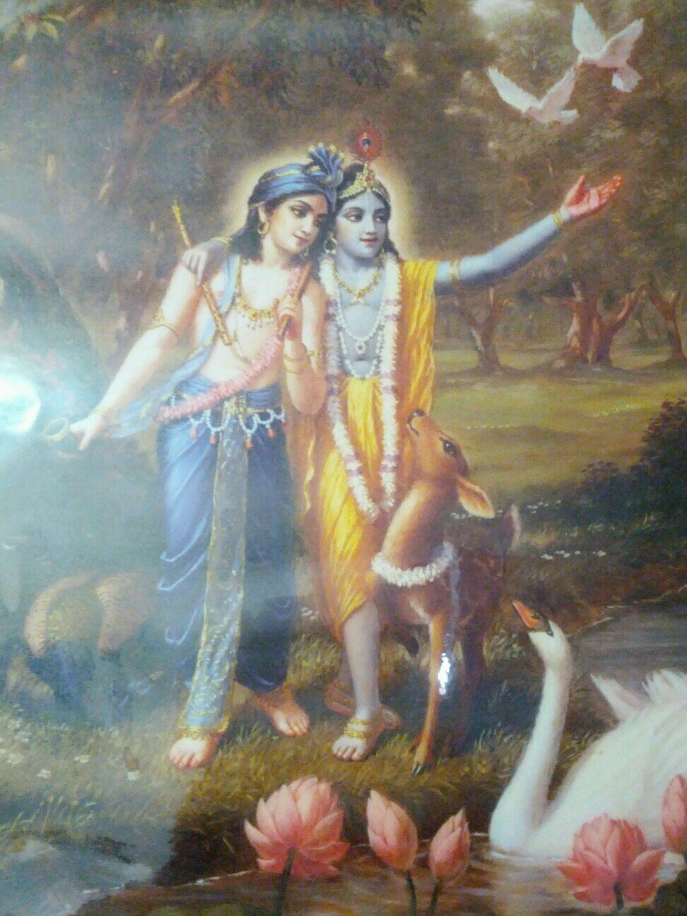 aksha_6's profile picture. 