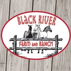 Black River Farm and Ranch the best summer camp for girls who love horses since 1962. Located in the Thumb area of Michigan. Your answer to fun this summer!