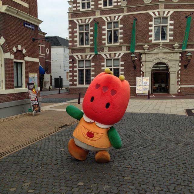 akicok's profile picture. 