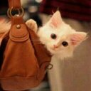 حصهٰ الخنيني (@00854123) Twitter