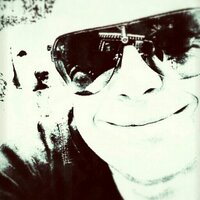 Ernesto Future Focus (@ffocusernesto) 's Twitter Profile