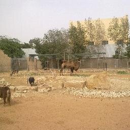 الرياض _السعوديه