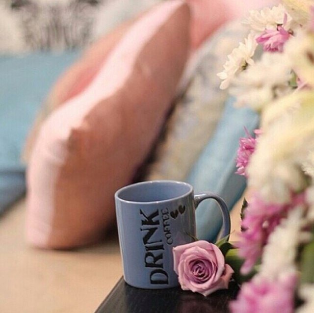 bb78261339's profile picture. 