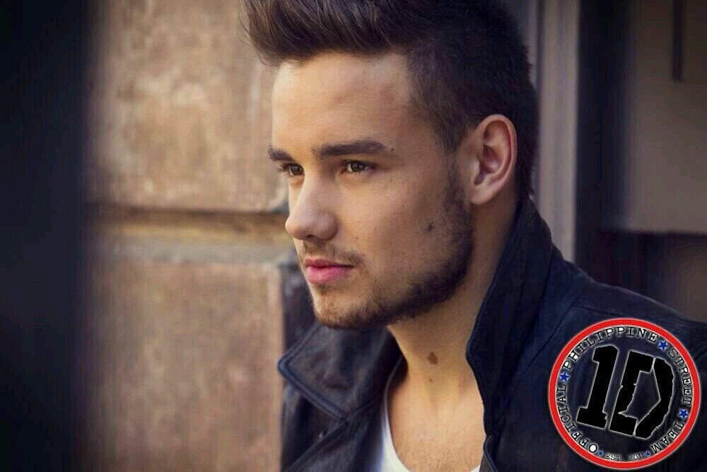 One Direction, dos palabras, un sentimiento~Liam, Zayn, Niall, Louis & Harry♡ Leeyum~DJ Malik~Irish Boy~Carrot Boy~Hazza. Take Me A Smile:)