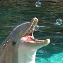 Kimberly Backman - @girlkab03 - Twitter