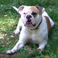 marcel van weelden (@mweelden) 's Twitter Profile