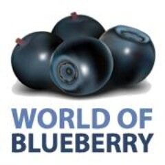 ALL ABOUT BLUEBERRIES