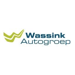 Wassink Autogroep | Peugeot, Citroën, DS, Opel, Fiat, Abarth, Jeep, Alfa Romeo, Kia, Hyundai, Ford, Leapmotor, Dongfeng, Voyah, Mhero, Omoda en Jaecoo dealer.