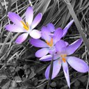 Isabelle Meier - @Isabelle_Meier - Twitter