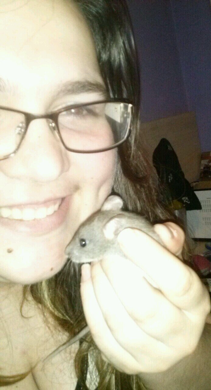 #Veterinária #Amigos #Família #Animes #Bichinhos