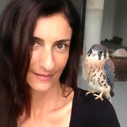 Artist. Animal lover. Happy camper.