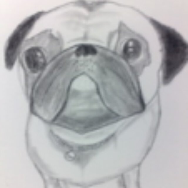 TaLaLand's profile picture. 