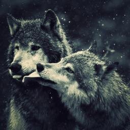 Rol sobre Lobos y Vampiros animate :)