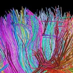 Muserworld's profile picture. Musers, we're knight's of Cydonia! Follow us if you LOVE @Muse