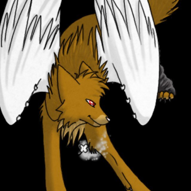 SaraBruyereWolf's profile picture. 