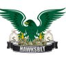 hawksbet's profile picture. Sports Trader | Soccer lover | DM for packages 🔥