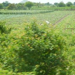 GinaKnudsen's profile picture. Wife, mom, Iowa Hawkeye fan, Christ follower