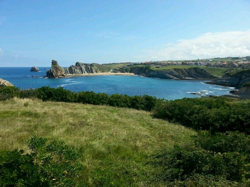 trialdata's profile picture. 