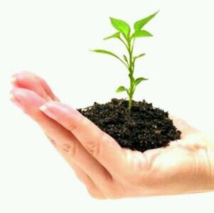 prosperousBaby's profile picture. История о том, как я стал тем, кем являюсь сейчас