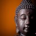 Buddha (@buddhatastic) Twitter profile photo Buddha (@buddhatastic) Twitter profile photo