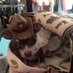 Queenie WoofWoof (@queeniewoofwoof) Twitter profile photo