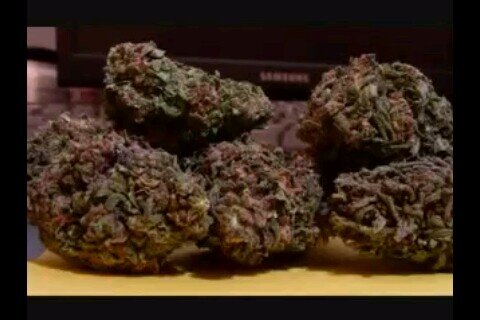 mikelowery787's profile picture. 