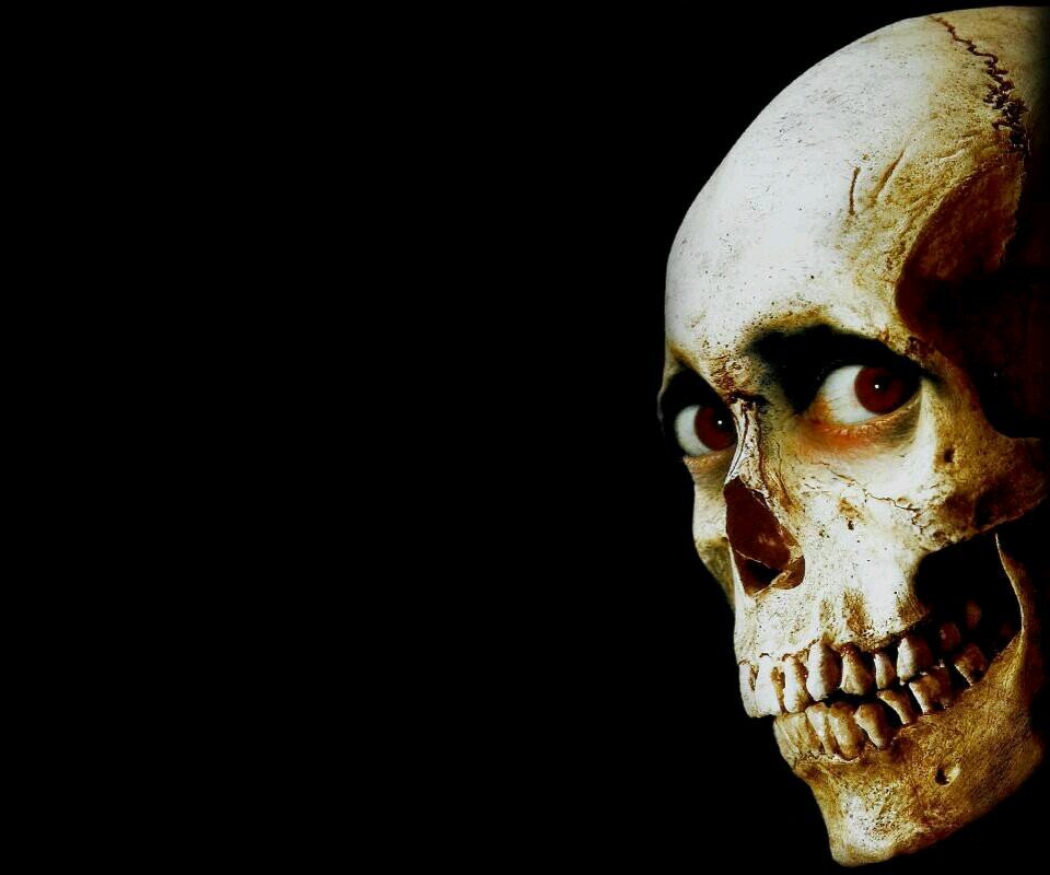 Shnetka's profile picture. 