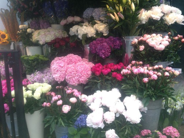 Theflowerbouti1's profile picture. 