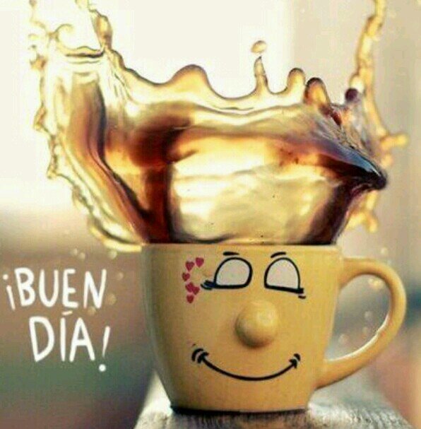 Entérate de los secretos que te harán disfrutar de manera insuperable de todo el placer que produce tomar una taza de café.