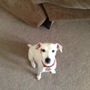 Stephanie  Roach - @roachsh_ - Twitter