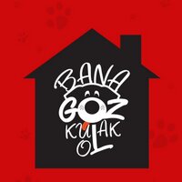 Bana Göz Kulak Ol (@banagozkulakol) Twitter profile photo