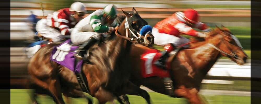 Winners at the Wire is a private member driven handicapping website. Email us today at freetrialoffer@winnersatthewire.com