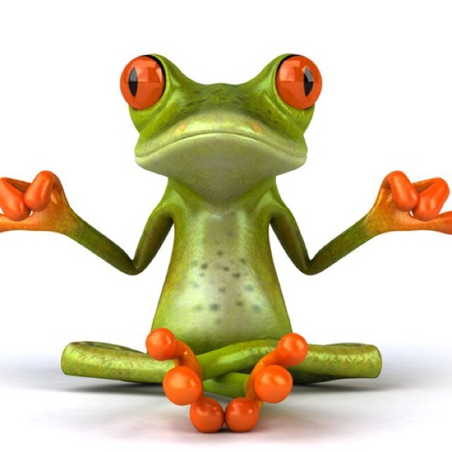 yorkfella's profile picture. Live in East Yorkshire