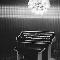 OmariMWalker's profile picture. 