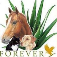 AloeInstinct's profile picture. Enjoy all things equestrian! Self employed & working to live not living to work! Living the dream. Contact me to find out how you can too!