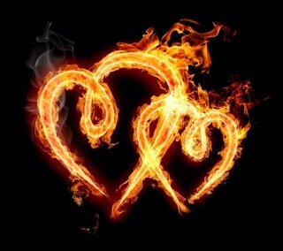 Alles over liefde❤
Beginnend account!