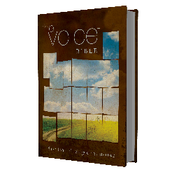 The Voice invites a generation of story-lovers to step into the story like no other Bible & recaptures the passion, grit, humor, & beauty that is often lost.